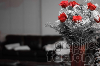 red roses in a vase