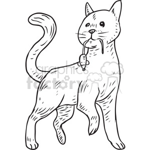 mouser cat vector illustration