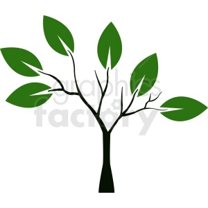 small tree with large leaves