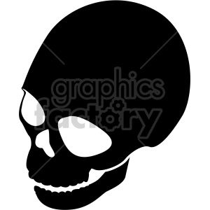 skull three quarter top view