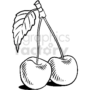 black and white cherry vector clipart