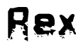 Nametag+Rex 