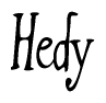 Nametag+Hedy 
