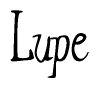 Nametag+Lupe 