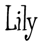 Nametag+Lily 