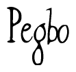 Nametag+Pegbo 