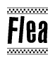 Nametag+Flea 