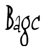 Nametag+Bagc 