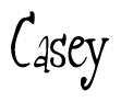 Nametag+Casey 