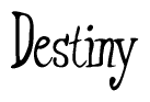 Nametag+Destiny 