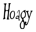 Nametag+Hoagy 