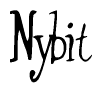 Nametag+Nybit 