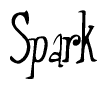 Nametag+Spark 
