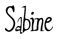 Nametag+Sabine 