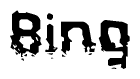 Nametag+Bing 