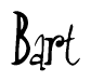 Nametag+Bart 