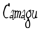 Nametag+Camagu 