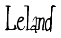 Nametag+Leland 