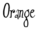 Nametag+Orange 