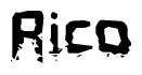 Nametag+Rico 