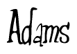 Nametag+Adams 