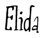 Nametag+Elida 