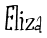 Nametag+Eliza 