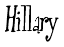 Nametag+Hillary 
