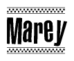Nametag+Marey 