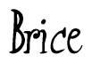 Nametag+Brice 