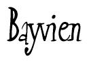 Nametag+Bayvien 