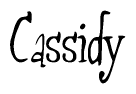 Nametag+Cassidy 