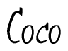 Nametag+Coco 