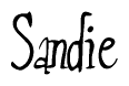 Nametag+Sandie 