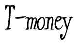 Nametag+T-money 