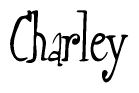 Nametag+Charley 