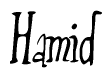 Nametag+Hamid 
