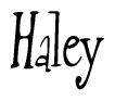 Nametag+Haley 