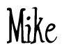 Nametag+Mike 