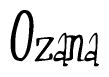 Nametag+Ozana 