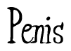 Nametag+Penis 