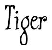 Nametag+Tiger 