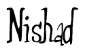 Nametag+Nishad 
