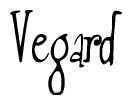 Nametag+Vegard 