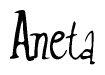 Nametag+Aneta 