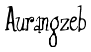 Nametag+Aurangzeb 