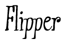 Nametag+Flipper 