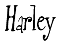 Nametag+Harley 