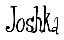 Nametag+Joshka 