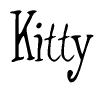 Nametag+Kitty 